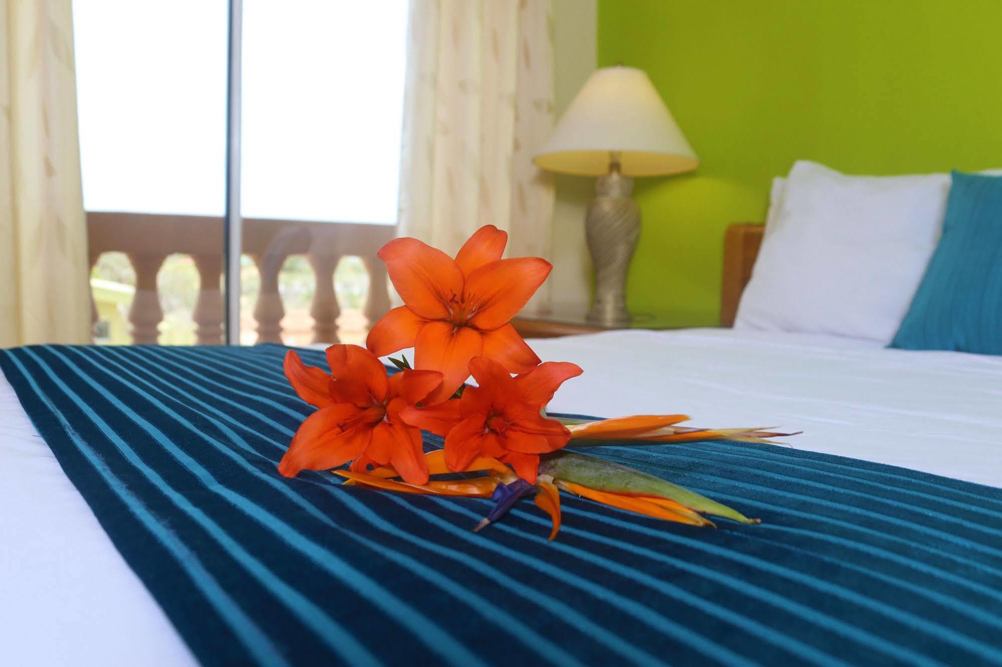 Punto Di Oro Apartments Resort Tanki Leendert Exterior photo